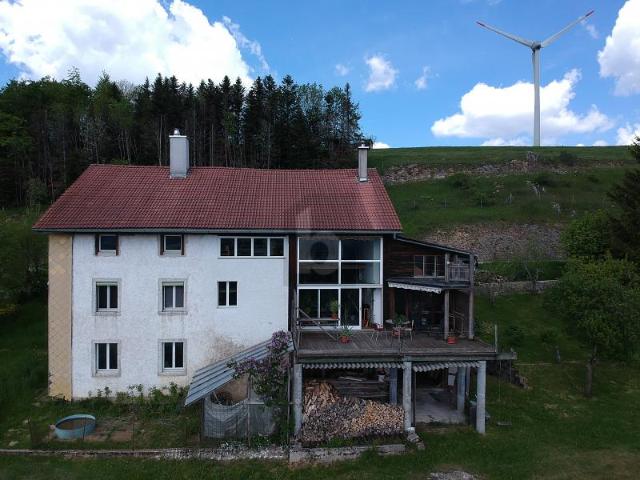 EIN HERRLICHER BLICK IN DIE NATUR