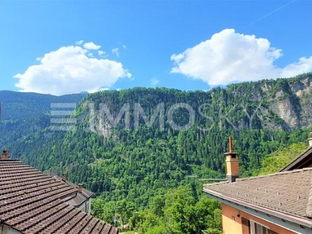 Ein Nest inmitten der Natur