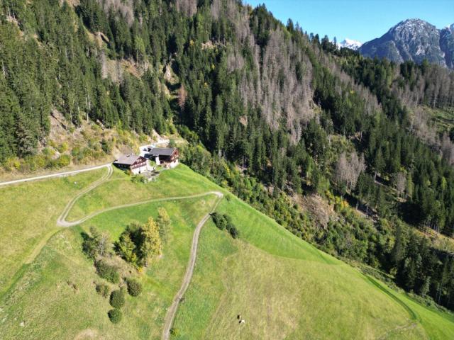 Ein Paradies in Alleinlage: Landwirtschaft mit Bergblick, Almhütte und Fischteich