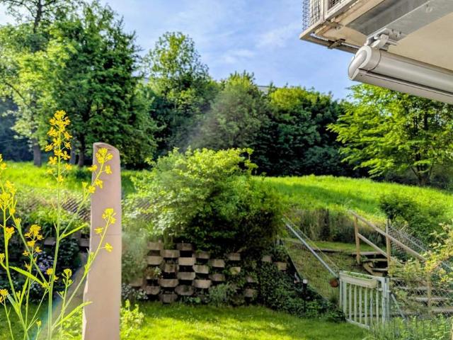 Wollen Sie in der Natur leben und Rehe vom eigenen Garten beobachten ?