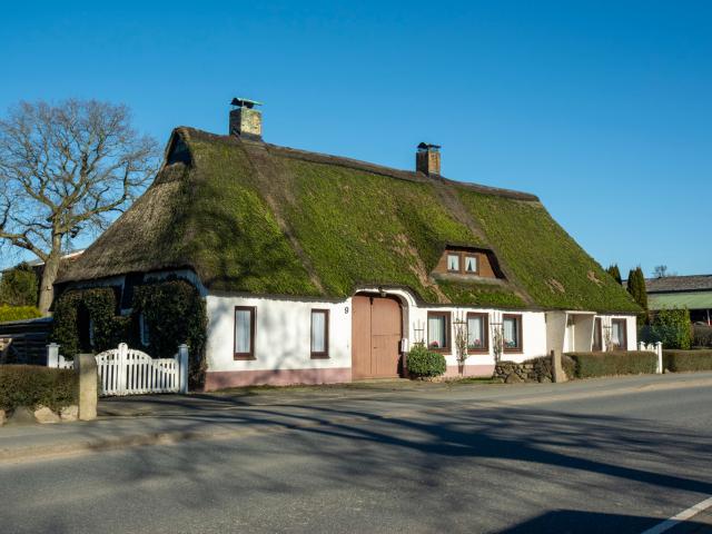 Ein Traum aus Reet in Schleinähe!