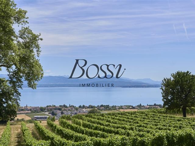 Ein zeitgenössischer Belvedere mit Blick auf den Genfersee