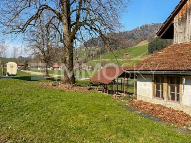 Ein Zuhause mit Herz, ein Projekt mit Zukunft