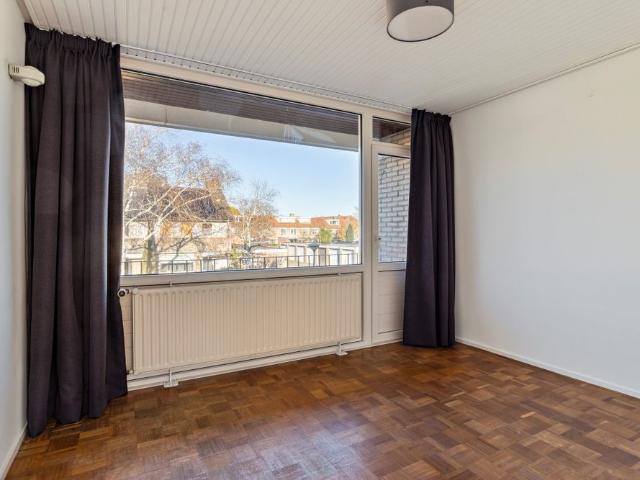 EINDHOVEN, Dopheide