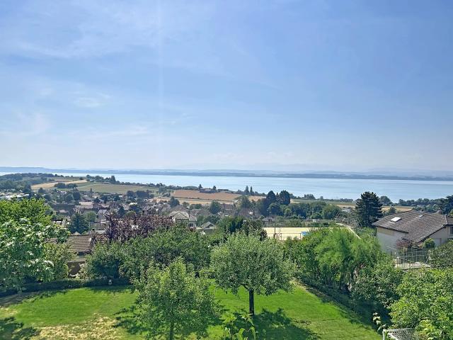 Eine grüne Umgebung mit Panoramablick auf den See und die Alpen