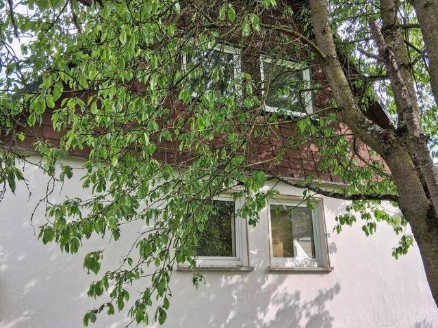 Eine kleine Doppelhaushälfte mit großzügigem Garten in Hof !