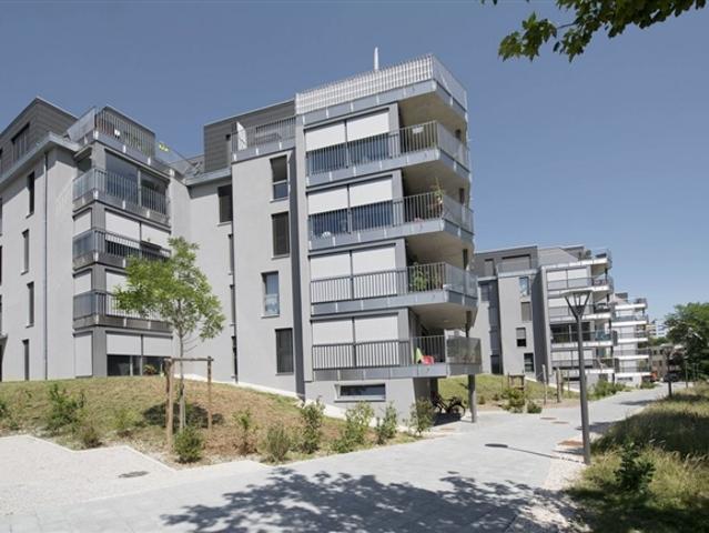 Eine 3,5 Zimmer Wohnung zur Miete in einem Minergie Gebäude