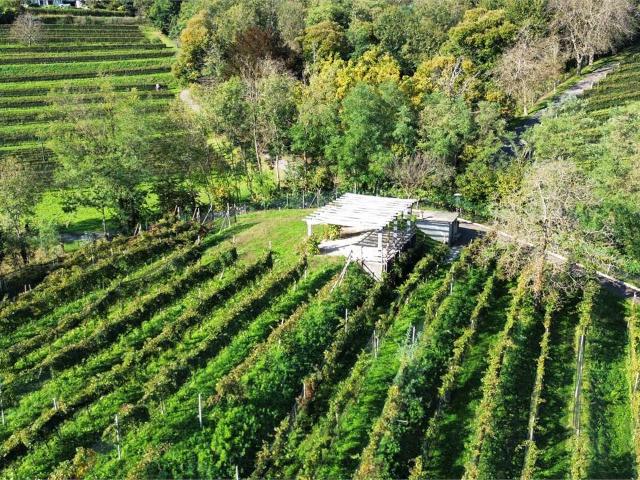 VILLA IN GRÜNER UND RESERVIERTER LAGE
