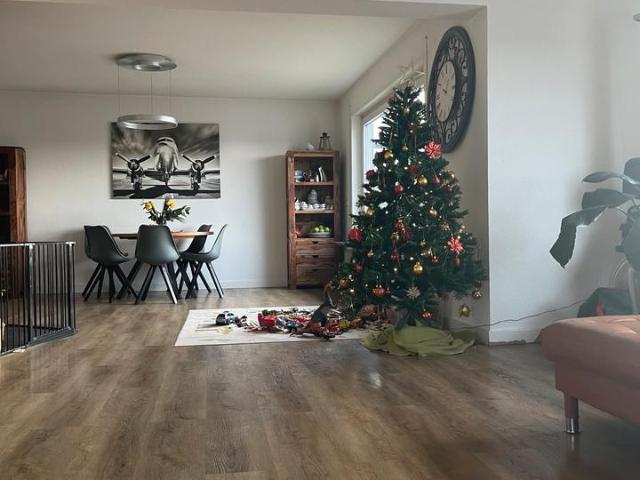Einfamilienhaus