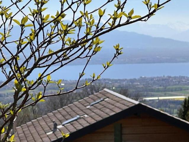 Einfamilienhaus 7.5 Zimmer