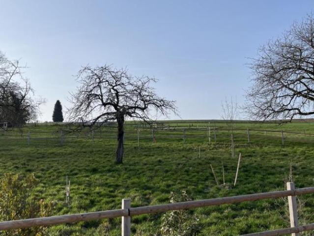 Einfamilienhaus 4.5 Zimmer