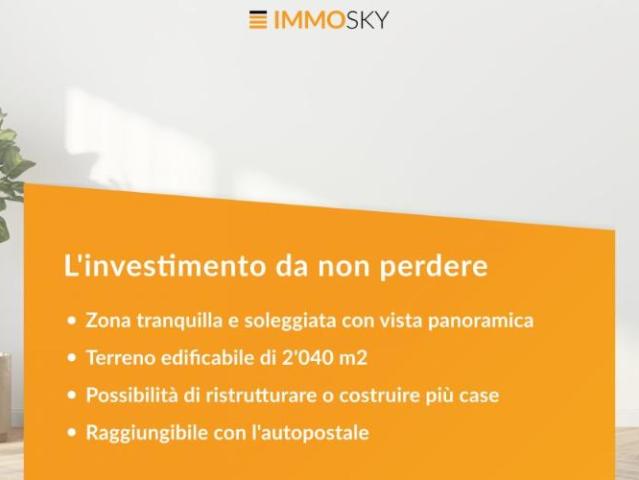 Das Investment, das man sich nicht entgehen lassen sollte