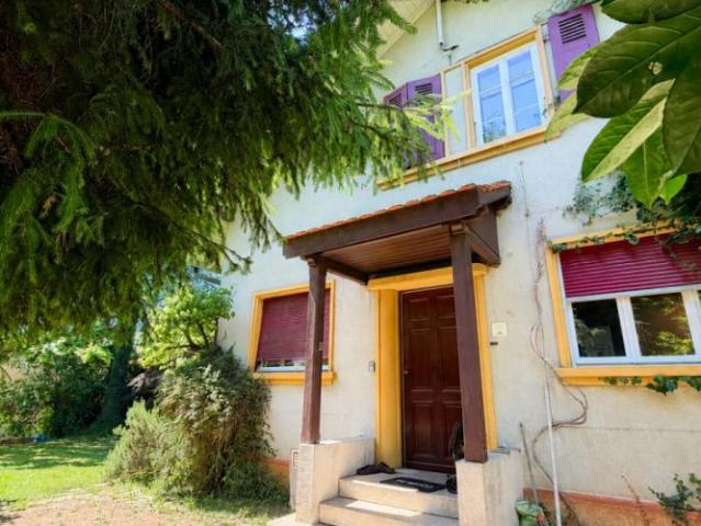 Einfamilienhaus