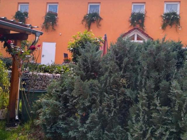 Einfamilienhaus