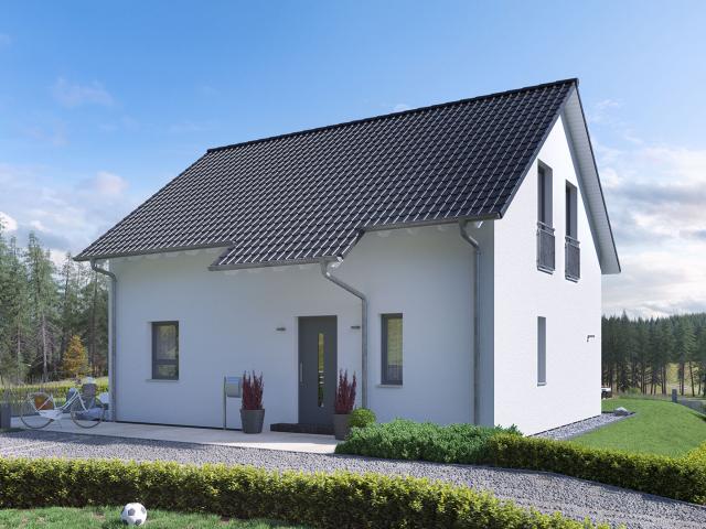 Einfamilienhaus Aktion EFH