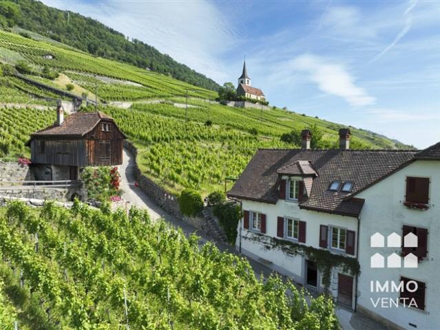 Einfamilienhaus in Ligerz mit Seeblick und eigenen Reben