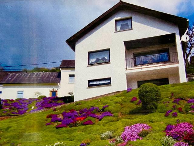 Einfamilienhaus mit Nebengebäude in 56754 Roes