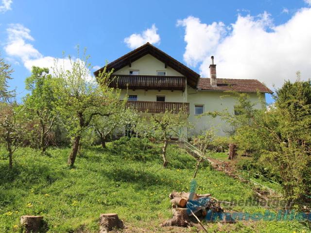 Einfamilienhaus mit großem Grundstück Nähe Landau/Isar