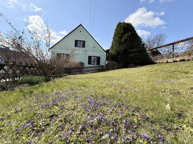 Einfamilienhaus mit viel Platz, eingezäuntem Garten und Nebengebäude in Fehring/Umgebung