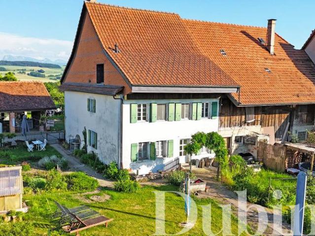 Einfamilienhaus mit 2 Wohnungen, privatem Garten, Keller und der Möglichkeit, eine 3. Wohnung zu schaffen