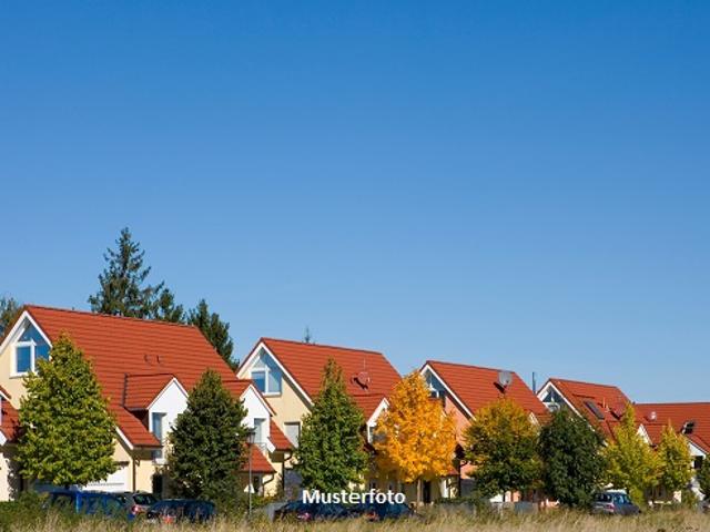 Einfamilienhaus mit 3 Garagen