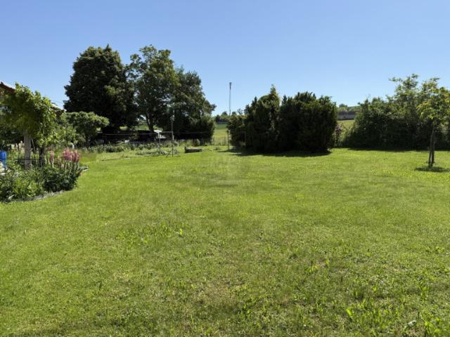 Einfamilienhaus mit 6 Zimmer und großen Grund in Pichl bei Wels!