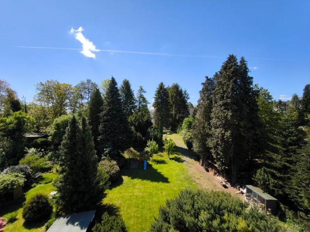 Einfamilienhaus saniert 2018 auf 1765 m Parkgrundstück mit Bach