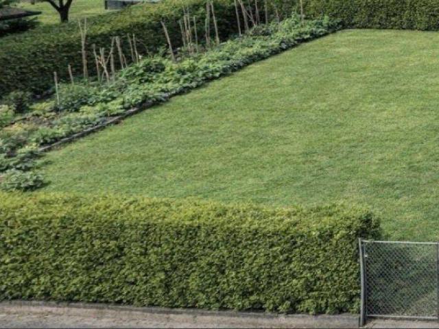 Eingezäuntes Baugrundstück in Neuhofen im Innkreis