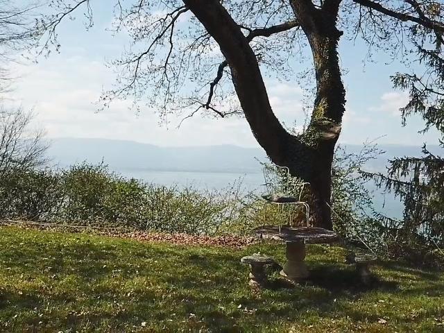 Einmalige Gelegenheit: Baugrundstück mit Seesicht in Vully les Lacs