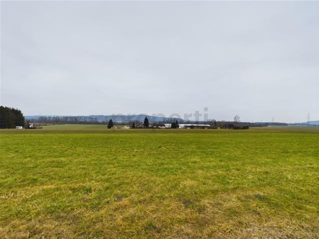 Einmalige Investitionschance Gewerbebauland in Meinisberg BE Gewerbezone