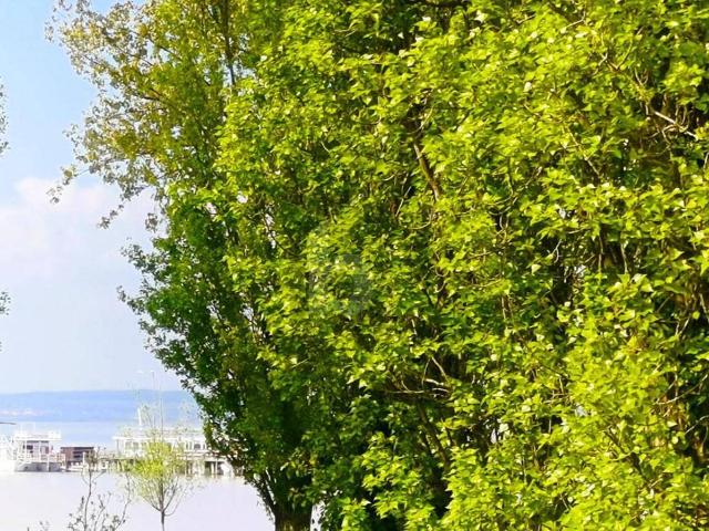 EINMALIGE LAGE AM NEUSIEDLERSEE MIT BESTEHENDEM HAUS