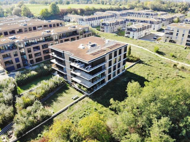 Einstellhallenplatz in Allschwil zu vermieten