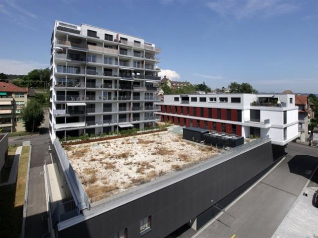 Einstellplatz zu vermieten