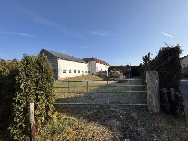 EIFEL* Lissendorf * ROHDIAMANT * Sanierungsobjekt * Nahe B421/B51/A60 * EFH * Büro * Praxis * Werkstatt * Atelier * Tiere * Pendler * Köln Bonn