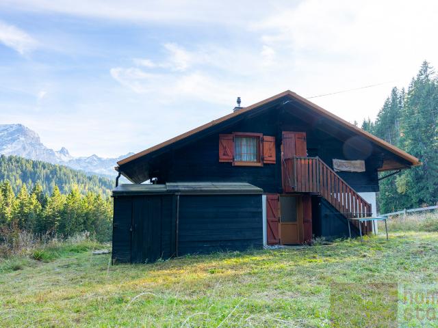 Eigenständiges Chalet mit Panoramablick – 5 Schlafzimmer in Villars Ollon