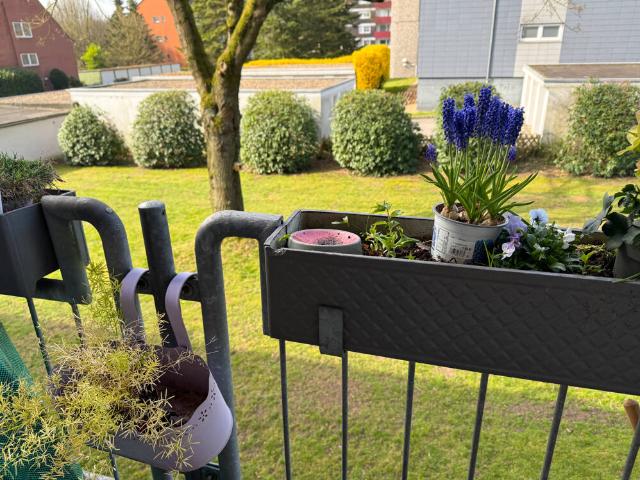 Eigentumswohnung mit Balkon in Herten Westerholt