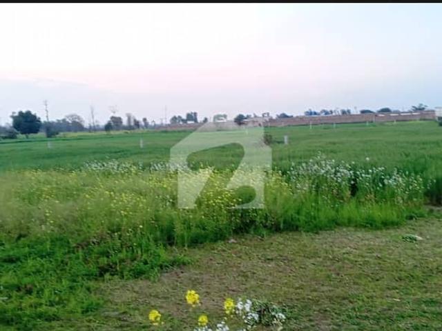 Eight Acre Agriculture Land Also Semi Commercial For Sale Near Ferozpure ROAD LAHORE