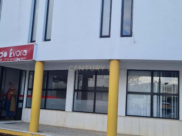 Eis uma excelente oportunidade para empresas e investidores