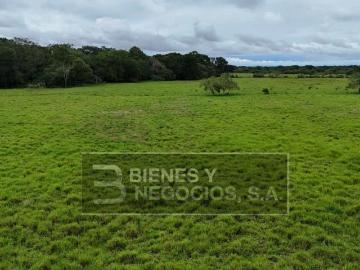 El Tejar | Finca en Chiriqui, Alanje, 88.6 hectáreas, El Tejar