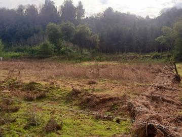 EL TERRENO ESTA UBICADO EN LA RUTA A VILLA BAVIERA A 4KM APX