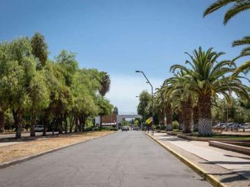 El Algarrobal Sur Chicureo im