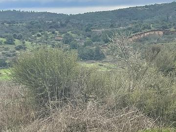 EL BELLOTO / QUILPUÉ