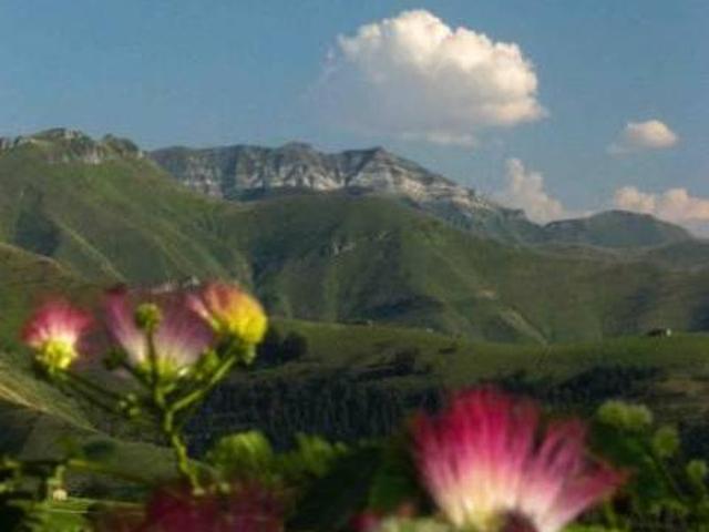 El Coterón Selaya Cantabria