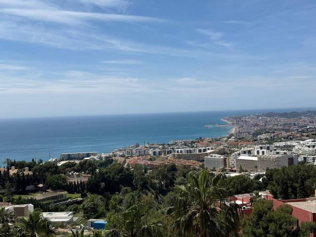 El higueron