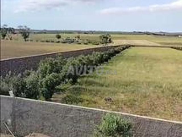 El Jadida Aïn Talemst Barrage de Ben Maachou
