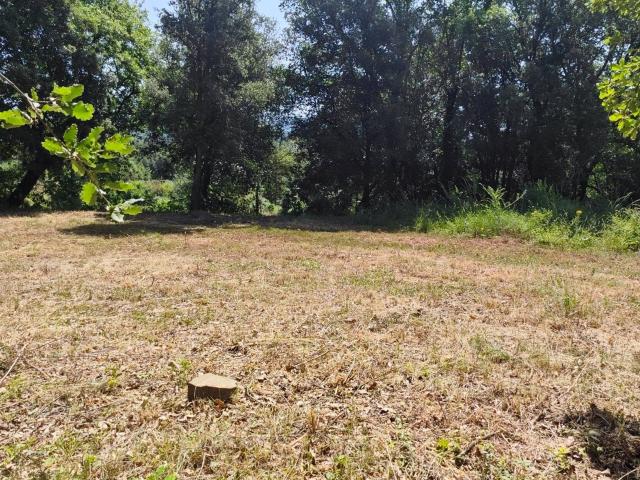 El lienzo perfecto donde el sol y la naturaleza dan forma a tus sueños