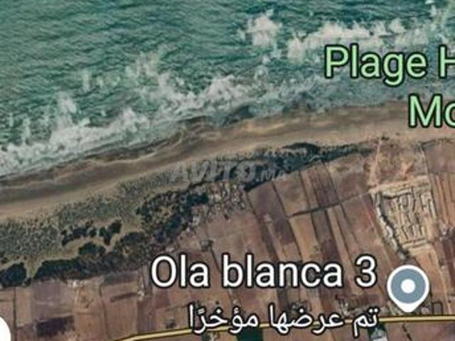 El Mahraza Côte