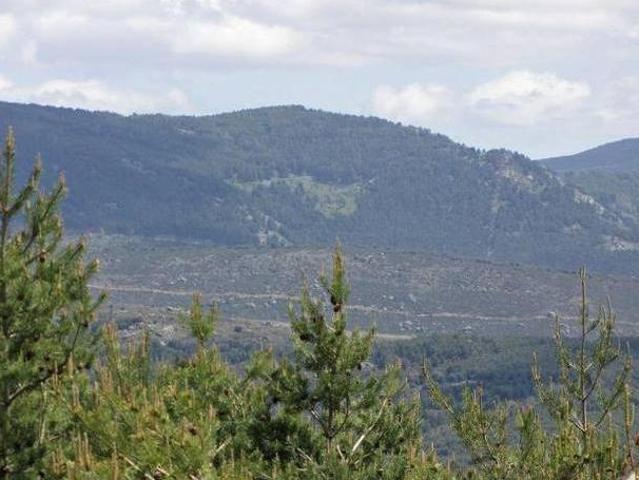 El Mirador de Tortoles Tortoles Ávila