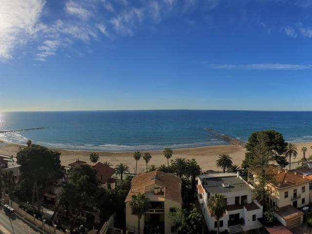 El Paraiso de Anita