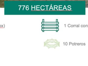 El Pelicano